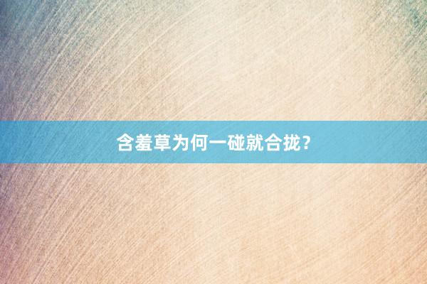 含羞草为何一碰就合拢？