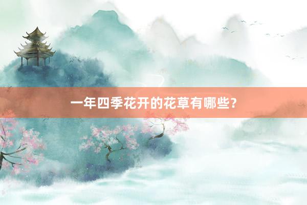 一年四季花开的花草有哪些？