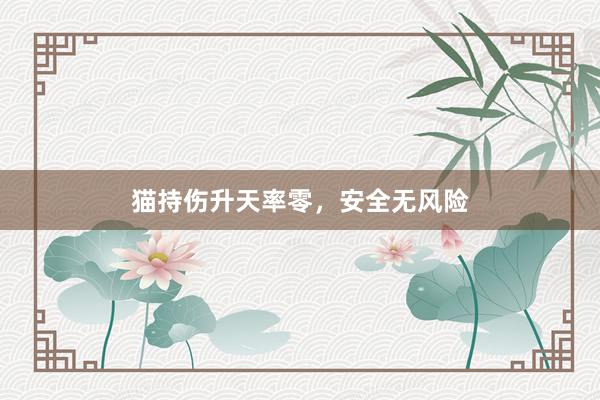 猫持伤升天率零，安全无风险